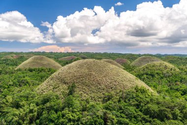 çikolata hills Bohol adlı