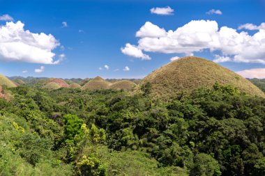 çikolata hills Bohol adlı