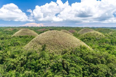 çikolata hills Bohol adlı