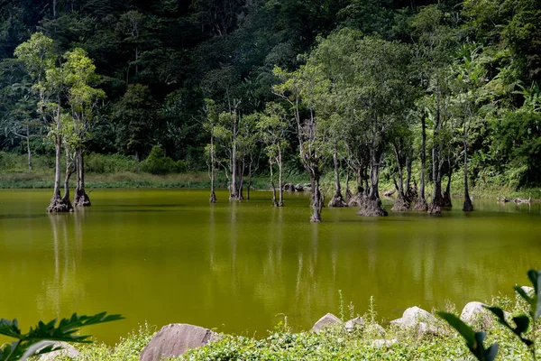 Чудовий краєвид на озері Twin Lake at Dumaguete — стокове фото