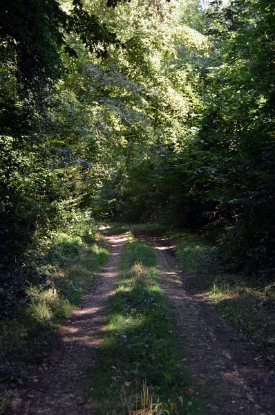 Gölge dünyaya yolundaki.