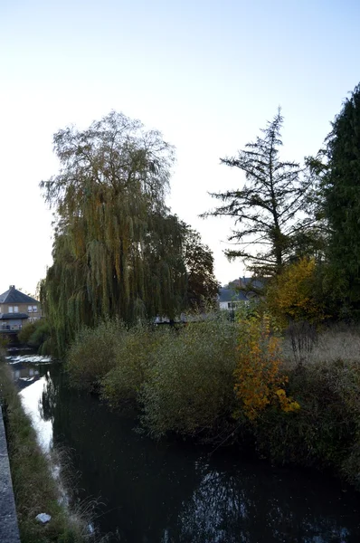 Fluss leben von Bäumen weinend — Stockfoto