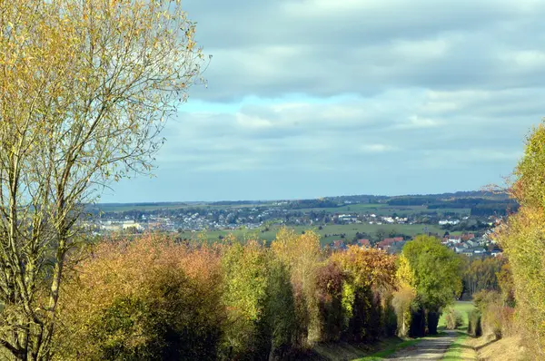 Gaumaise kampanya görünümünü 