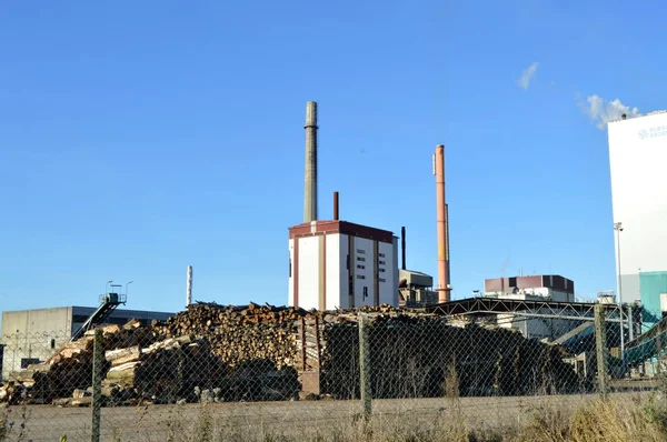 Molino de pulpa con dos chimeneas — Foto de Stock