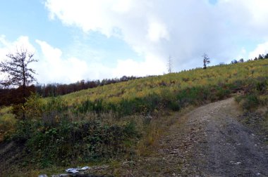 Altında ile ahşap yamaç 