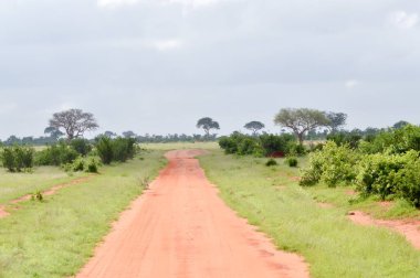 Kırmızı toprak parça