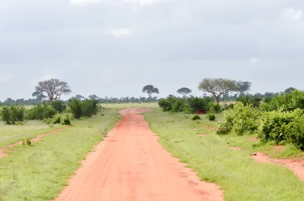 Kırmızı toprak parça