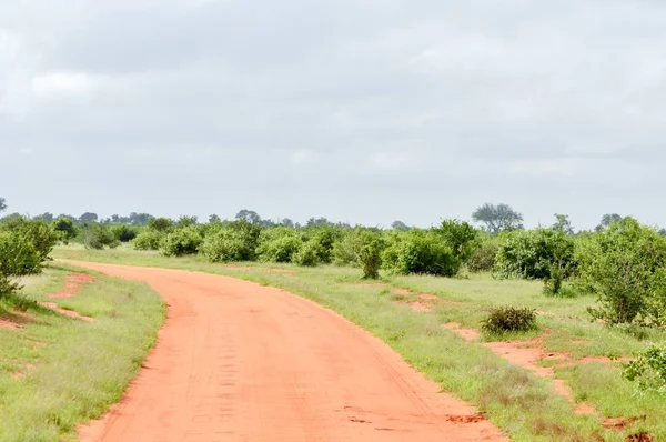 Kırmızı toprak parça
