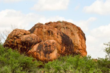 Büyük kırmızı kaya 