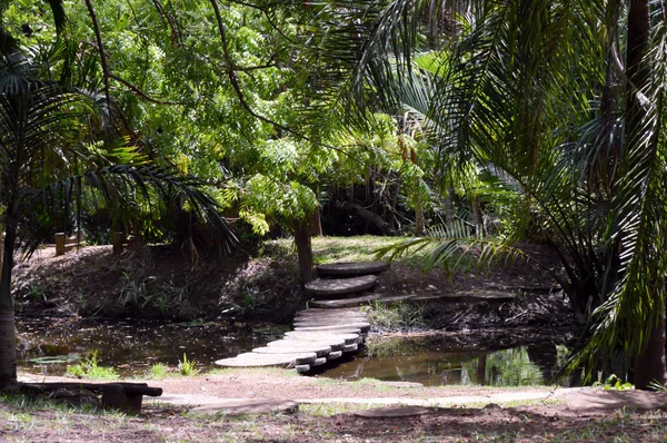 Small stone slab deck in a tropical