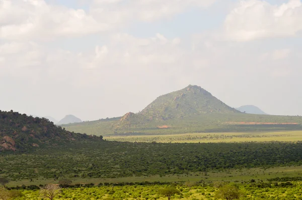 Vista alta de la sabana — Foto de Stock