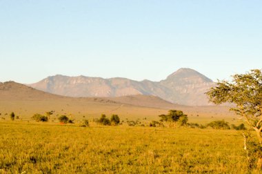 Tsavo Doğu savannah görünümünü 