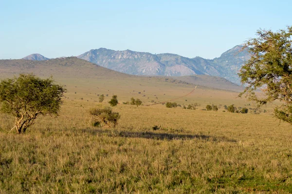 Vista da savana leste de Tsavo — Fotografia de Stock