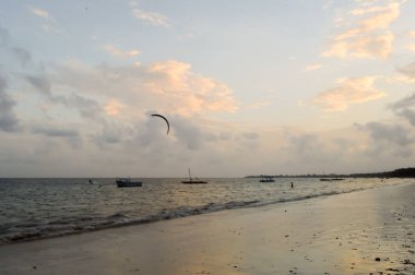 Plaj ve okyanus görünümü 