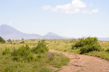 Tsavo Doğu savannah görünümünü 