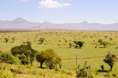 Tsavo Doğu savannah Kenya görünümünü