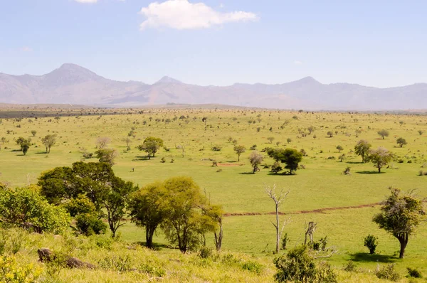 Kilátással a Tsavo East szavanna Kenyában — Stock Fotó
