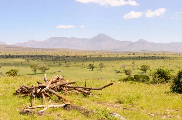 View of the Tsavo East savannah in Kenya — Stock Photo, Image