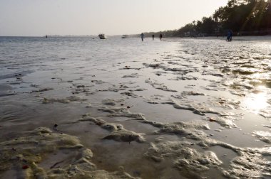 Günbatımı Bamnuri kum üzerinde 