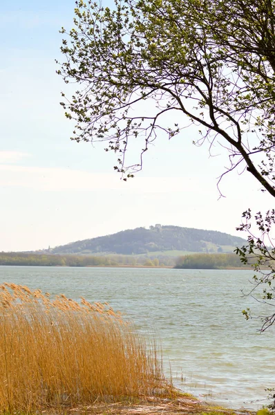 Vista del lago de Madine — Foto de Stock