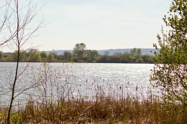 Vista do lago de Madine — Fotografia de Stock