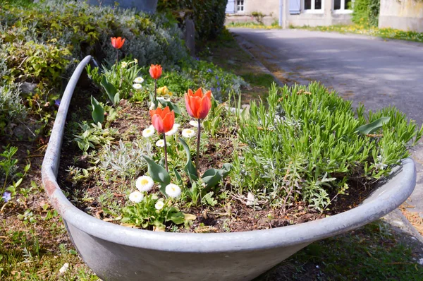 Old tub converted into a flower box