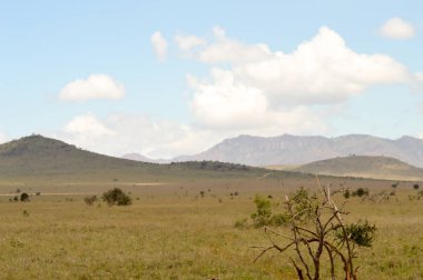 Tsavo Doğu savannah Kenya görünümünü 
