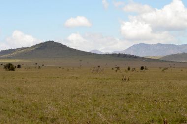 Tsavo Doğu savannah Kenya görünümünü 