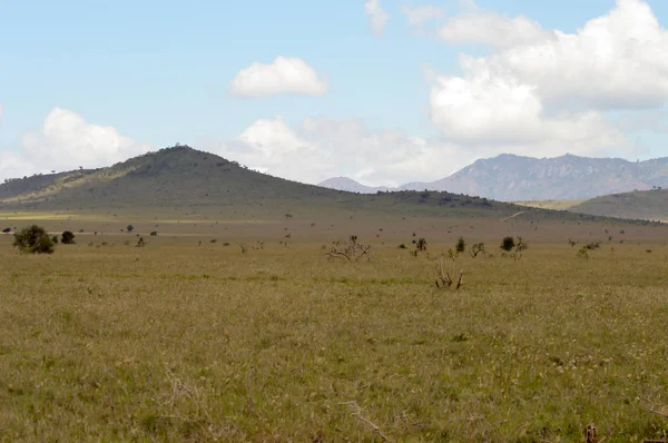 Widok na sawannie Tsavo East w Kenii — Zdjęcie stockowe