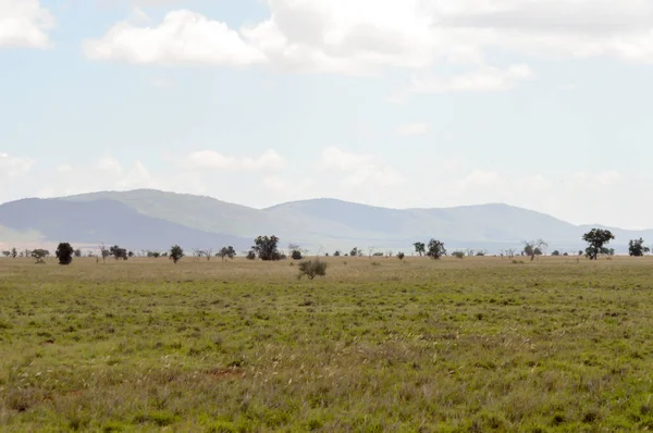 Вид на восточную саванну Цаво — стоковое фото