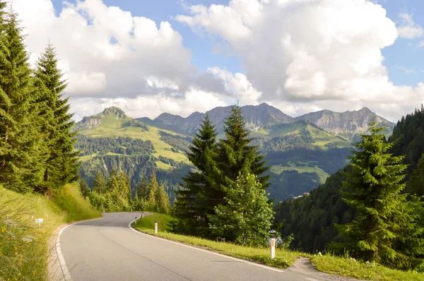 Ormanlık bir vadide yönlendirmek 