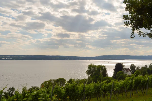 Uhldingen sarmaşık bitkilerin görünümü 
