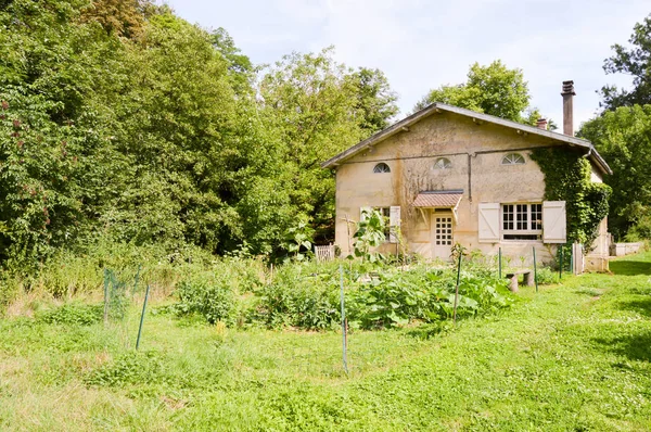 Huisje in een bos met een kleine keuken — Stockfoto