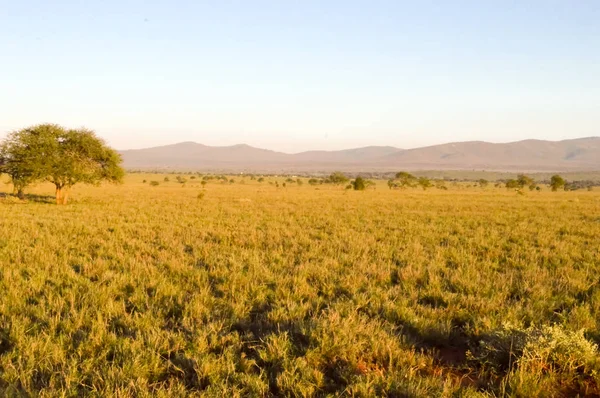 Utsikt över Tsavo East savannen — Stockfoto