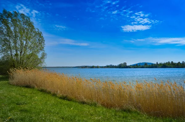 Vista del lago de Madine — Foto de Stock