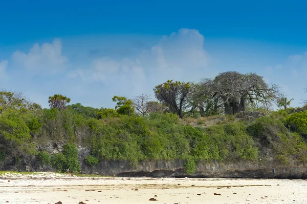 Plaj ve okyanus görünümü 