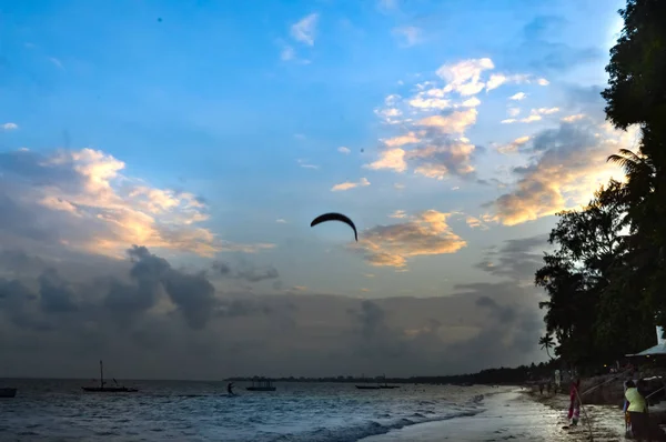 Plaj ve okyanus görünümü 