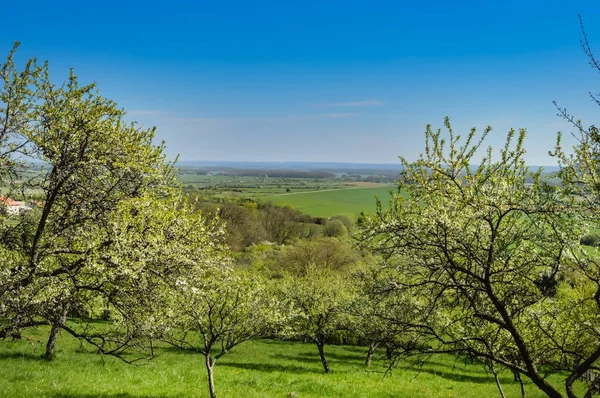 Meuse kırsalında bir görünümünü — Stok fotoğraf