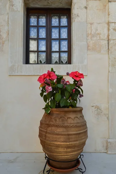 Amphora grande e vaso pequeno com flores — Fotografia de Stock