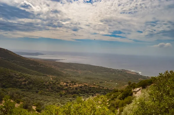 View of the olive groves and ocean — Stock Photo, Image