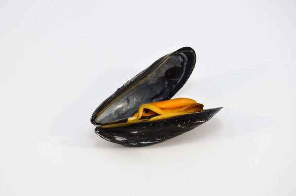 Mussel of Zeeland size super cooked 