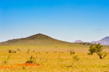 Tsavo Doğu savannah Kenya görünümünü 