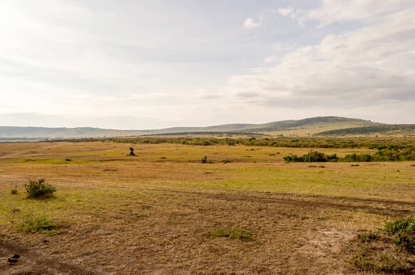 Zobacz sawanny w parku Masai Mara w Kenii — Zdjęcie stockowe