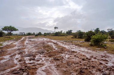 Kuzeybatı bir fırtına sonra masai mara iz görünümünü 