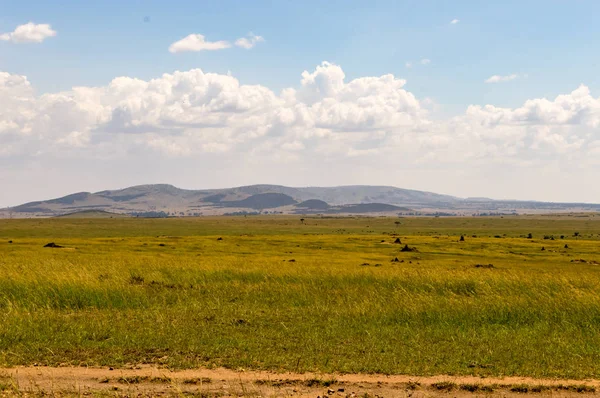 Blick auf die Savanne im Maasai Mara Park Kenia — Stockfoto