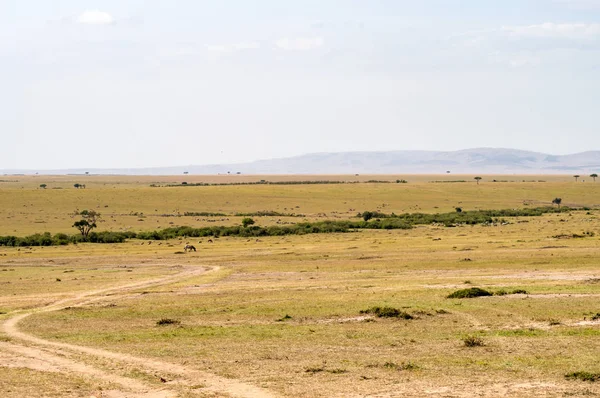 Tormenta en la sabana y colinas del parque Maasai Mara en North Wes — Foto de Stock