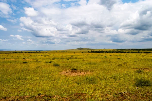 Pohled na savanách v parku Masai Mara, Keňa — Stock fotografie