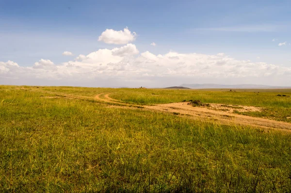 Uitzicht op de savanne in Maasai Mara Park Kenia — Stockfoto