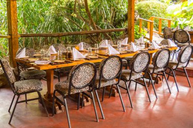 Bir orman renkli Teras tropikal bir ortamda küme tablo 