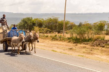 Teslimat adam içme suyu üzerinde ahşap sepeti ben eşek tarafından çekti